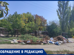 Вонючая мусорка под носом у детей кишит заразой - ужасы СЖМ в Таганроге