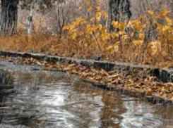 Мокрый и холодный День знаний ждет жителей Таганрога 