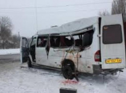 Перспектива ездить в маршрутках с водителями без справок жителей Таганрога не прельщает