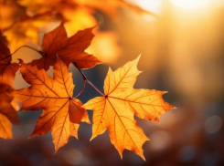 В Таганроге пройдёт фестиваль «Осенний бульвар»