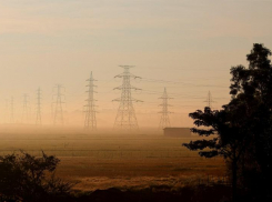 Битва председателей: склоки в таганрогском СНТ
