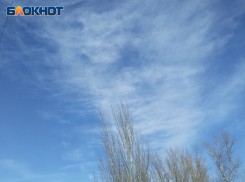 Губернатор Ростовской области прокомментировал «хлопки» в небе