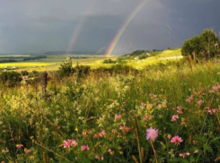 Погода в Таганроге  до конца рабочей недели порадует теплом