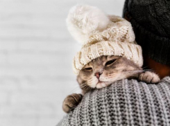 Почему февраль – самый тяжелый месяц в году