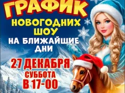 27 декабря откроется дверь в сказку, которая умеет удивлять