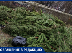 Свалки все же пополнились елками