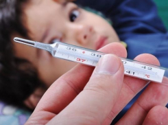 Опасные вирусы поджидают жителей Таганрога в летний период