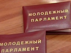 В состав Молодежного парламента Таганрога хотят попасть 44 кандидата