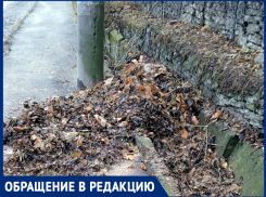 Каждый год одно и тоже: чистка водостока Комсомольского спуска в Таганроге 