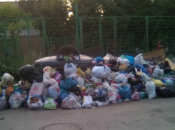 Жильцы  улицы Театральной  пожаловались на  Спецавтохозяйство,  которое утопило их в мусоре