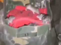 Обращение наших бойцов к таганрогским волонтёрам