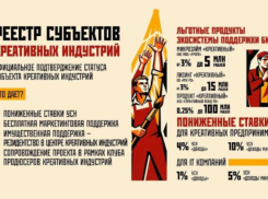 Более 530 донских бизнесменов уже вступили в реестр субъектов креативных индустрий