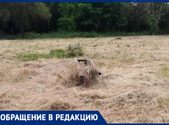 «Спичку кто-то бросит и заживо сгорим»: таганрожцы жалуются на опасный сеновал на Циолковского