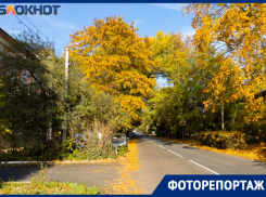 Как выглядит «золотая осень» в Таганроге