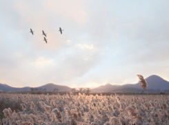 Время решить сложные ситуации: что сделать в Журавлиный лёт, чтобы перезагрузить судьбу - советы на 1 октября 