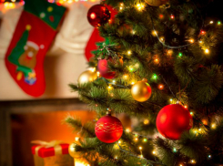 Новогодняя елка для одаренных таганрожцев 