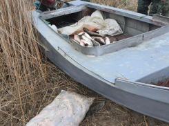 Устроили погоню: под Таганрогом задержали двух браконьеров 