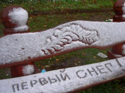 Первый снег в Таганроге выпадет уже на этой неделе