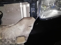 Еще один автомобиль в Таганроге изуродовали бродячие собаки