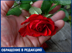 Ночной промысел: в Таганроге соседка разоряет чужие клумбы - попала на видеокамеру