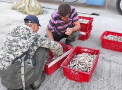 За полгода 13 уголовных дел возбудили за незаконную ловлю рыбы в Таганрогском заливе