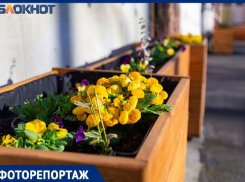 «Весне дорогу!»: как преобразился Таганрог с приходом тепла