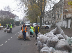 Деньги ушли на штрафы? Опавшую листву в Таганроге уберут не везде