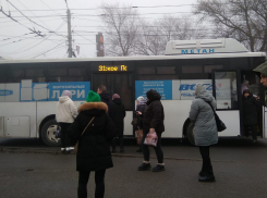 Троллейбусы или автобусы: таганрогские власти попросили новый транспорт у врио губернатора - откроются ли муниципальные маршруты