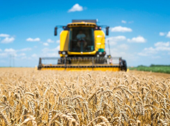 Фермеры в окрестностях Таганрога получат поддержку 