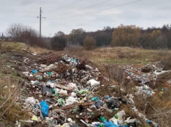 Найти виновника: под Таганрогом инспекция обнаружила стихийную свалку 