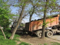 Проблемную свалку в центре Таганрога ликвидировали 