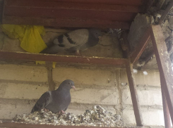 Нерукотворные пирамиды в Таганроге - жители им не рады 