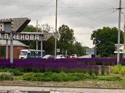 Таганрог цветущий и топ-5 самых приятных запахов для человека