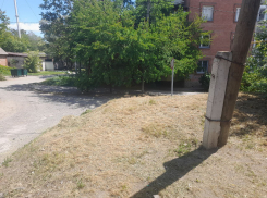 Беспощадный покос продолжается в Таганроге 