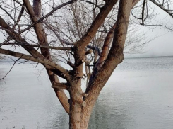 В четверг в Таганроге проведут учения по организации безопасности во время возможного паводка