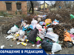 Мусорные кучи в Таганроге живее всех живых
