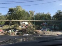 Улица Хмельницкого, 6 в Таганроге  утопает в амброзии и мусоре