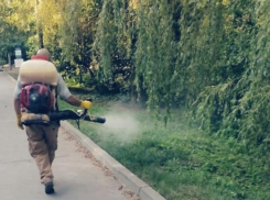 В Таганроге продолжается противоклещевая обработка территорий