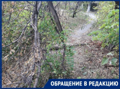 «Пилите сами» - посоветовали таганроженке в «Благоустройстве»