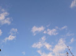 До +17 днём: погода на новой рабочей неделе