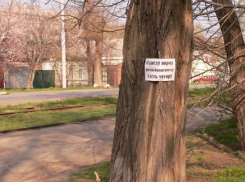 Жители Таганрога придумали оригинальный способ борьбы со стихийными свалками