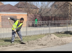 Глава города напомнил таганрожцам: ветки вывозим за свой счёт