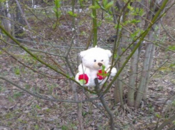 Кладбище плюшевых игрушек обнаружили под Таганрогом