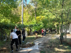 Осенний месяц чистоты стартовал в Таганроге 