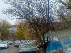 Власти Таганрога отреагировали на транспортный катаклизм у лицея №7