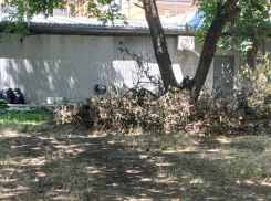 В редакцию вновь поступило обращение таганрожцев  о заброшенной территории  у Нового вокзала