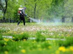 В Таганроге началась обработка зеленых территорий от клещей