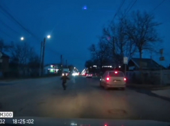 Ребёнок рисковал жизнью ради раненой собаки в Таганроге