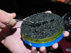 Таганрожец попался на хранении тухлой черной икры