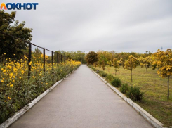  Пасмурная погода в Таганроге ожидается на выходных